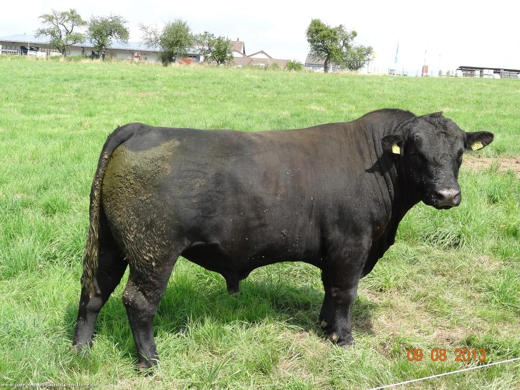 Philosophische Bildwanderung Waeller-Tour-Brexbachschluchtweg