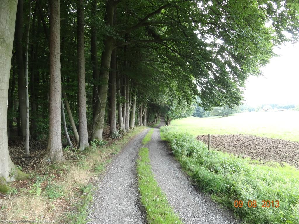 Philosophische Bildwanderung Waeller-Tour-Brexbachschluchtweg