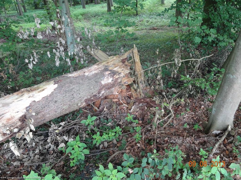 Philosophische Bildwanderung Waeller-Tour-Brexbachschluchtweg