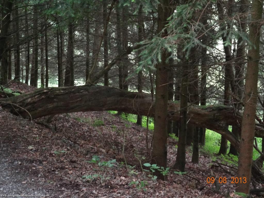 Philosophische Bildwanderung Waeller-Tour-Brexbachschluchtweg