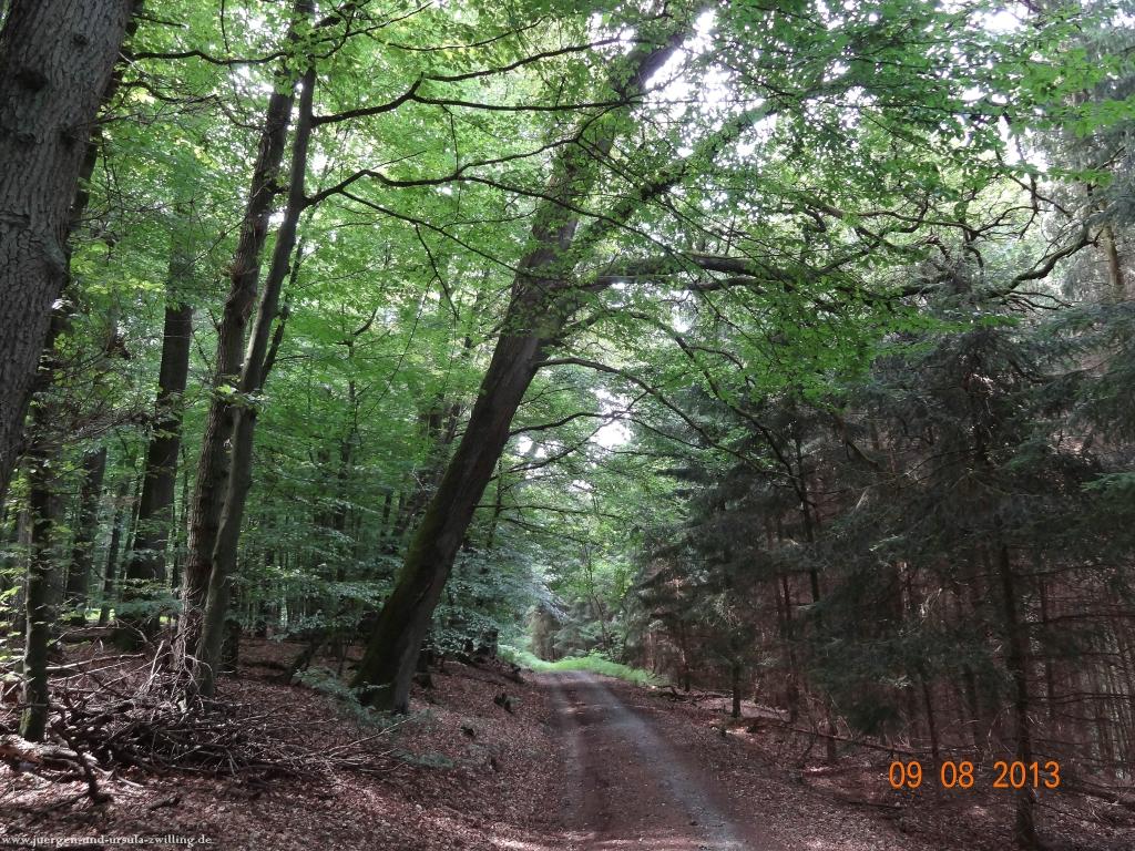 Philosophische Bildwanderung Waeller-Tour-Brexbachschluchtweg