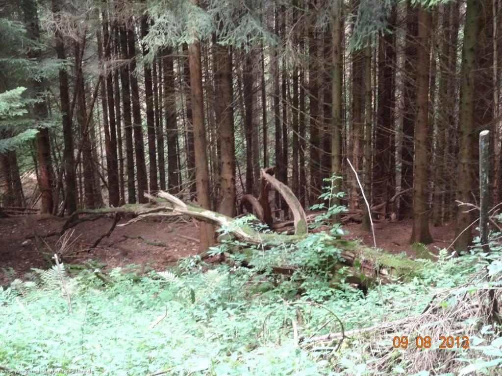 Philosophische Bildwanderung Waeller-Tour-Brexbachschluchtweg