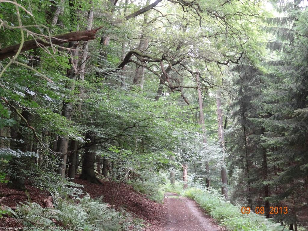 Philosophische Bildwanderung Waeller-Tour-Brexbachschluchtweg