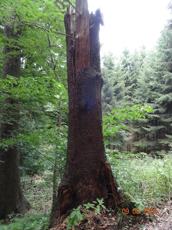 Philosophische Bildwanderung Waeller-Tour-Brexbachschluchtweg