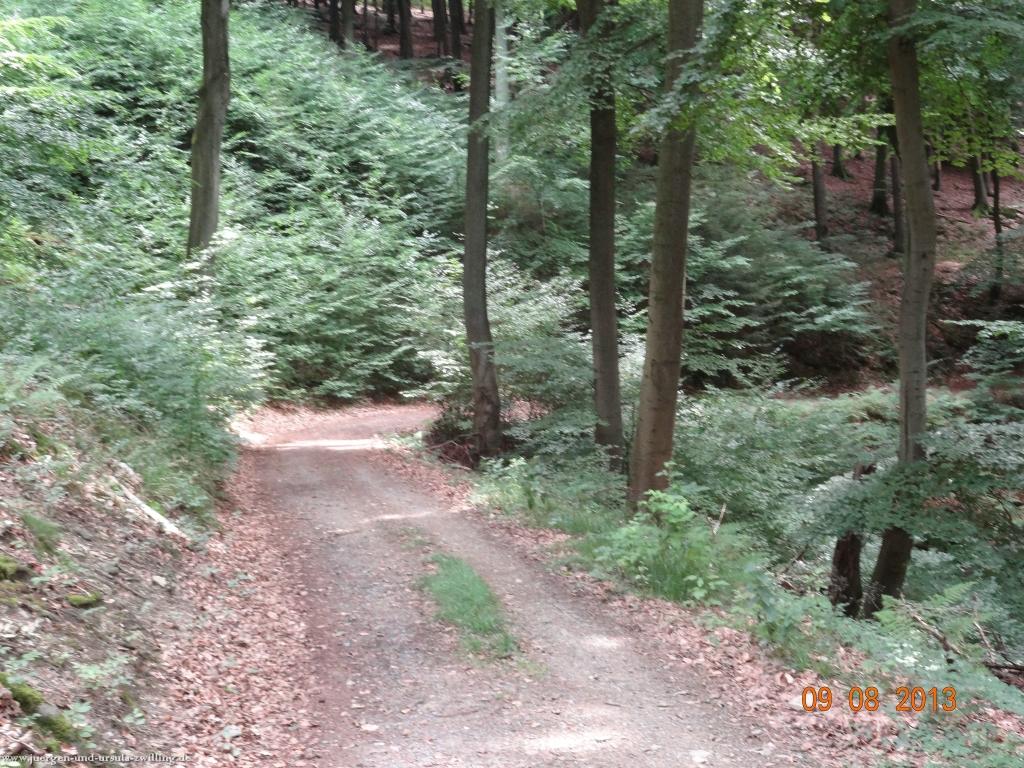 Philosophische Bildwanderung Waeller-Tour-Brexbachschluchtweg