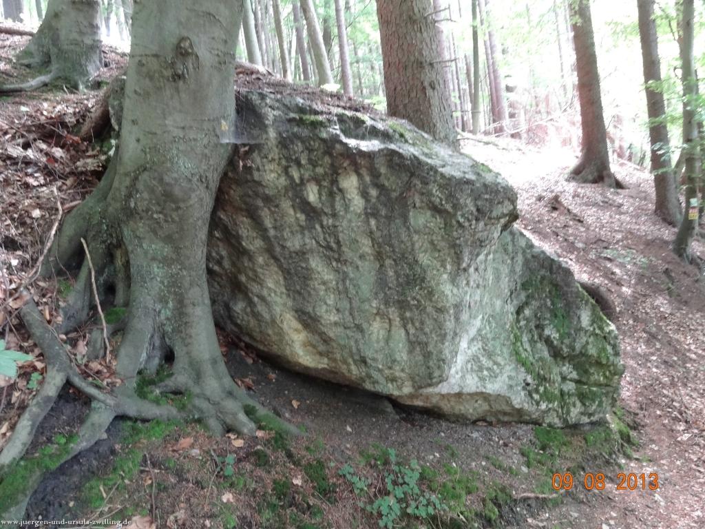 Philosophische Bildwanderung Waeller-Tour-Brexbachschluchtweg