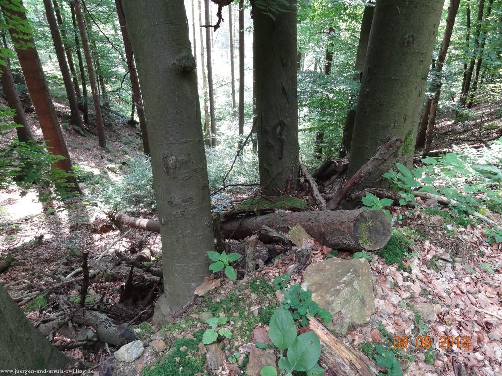 Philosophische Bildwanderung Waeller-Tour-Brexbachschluchtweg