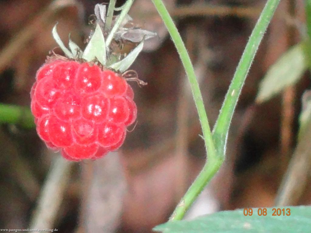 Philosophische Bildwanderung Waeller-Tour-Brexbachschluchtweg