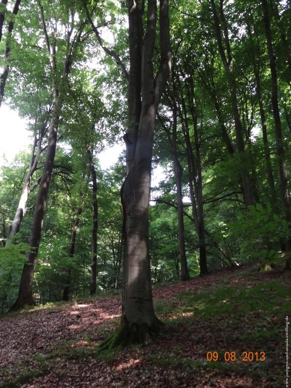 Philosophische Bildwanderung Waeller-Tour-Brexbachschluchtweg