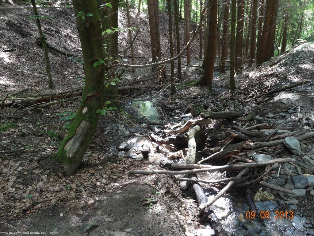 Philosophische Bildwanderung Waeller-Tour-Brexbachschluchtweg