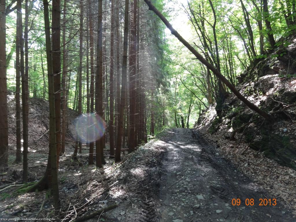 Philosophische Bildwanderung Waeller-Tour-Brexbachschluchtweg