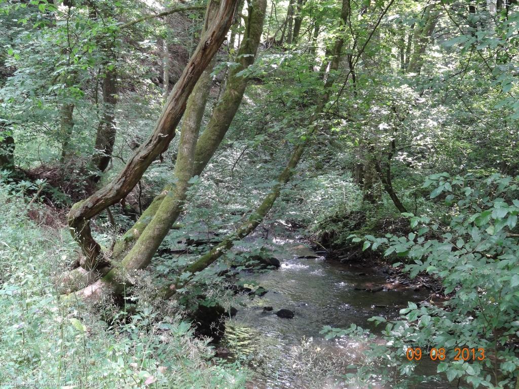 Philosophische Bildwanderung Waeller-Tour-Brexbachschluchtweg