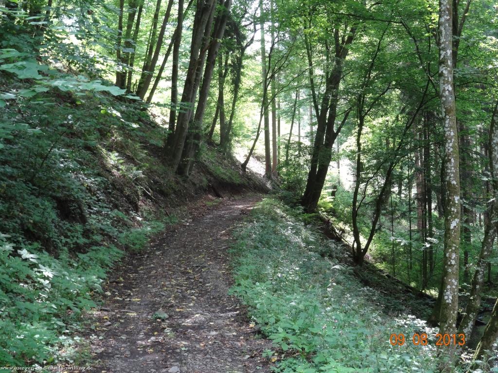 Philosophische Bildwanderung Waeller-Tour-Brexbachschluchtweg