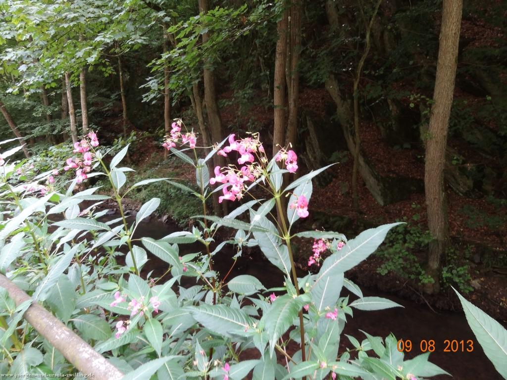 Philosophische Bildwanderung Waeller-Tour-Brexbachschluchtweg