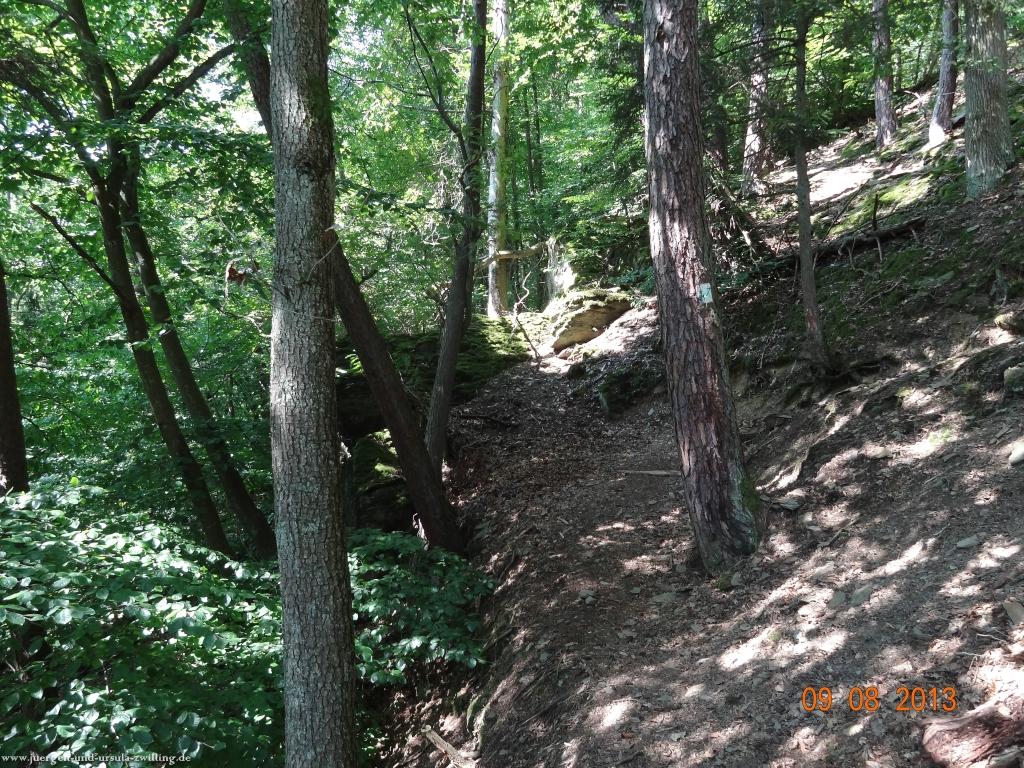 Philosophische Bildwanderung Waeller-Tour-Brexbachschluchtweg