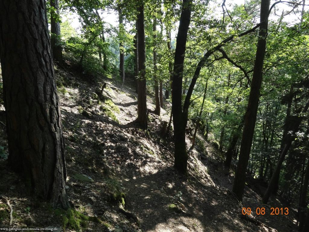 Philosophische Bildwanderung Waeller-Tour-Brexbachschluchtweg