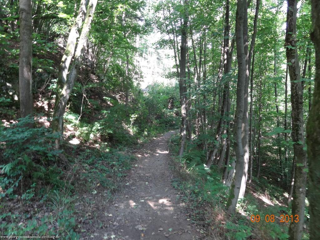 Philosophische Bildwanderung Waeller-Tour-Brexbachschluchtweg