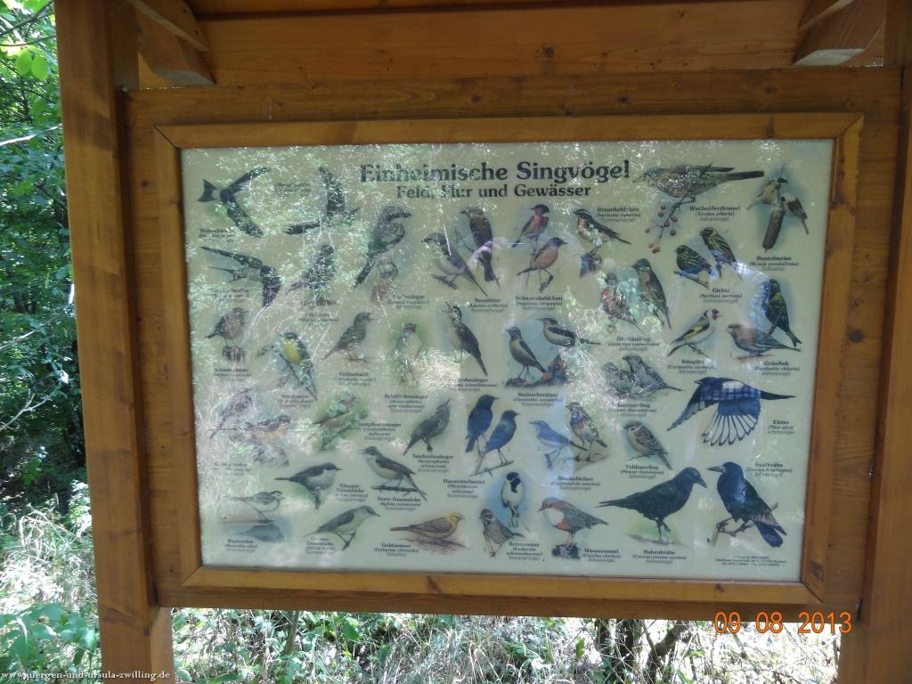 Philosophische Bildwanderung Waeller-Tour-Brexbachschluchtweg