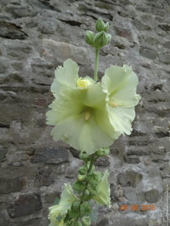 Philosophische Bildwanderung Waeller-Tour-Brexbachschluchtweg