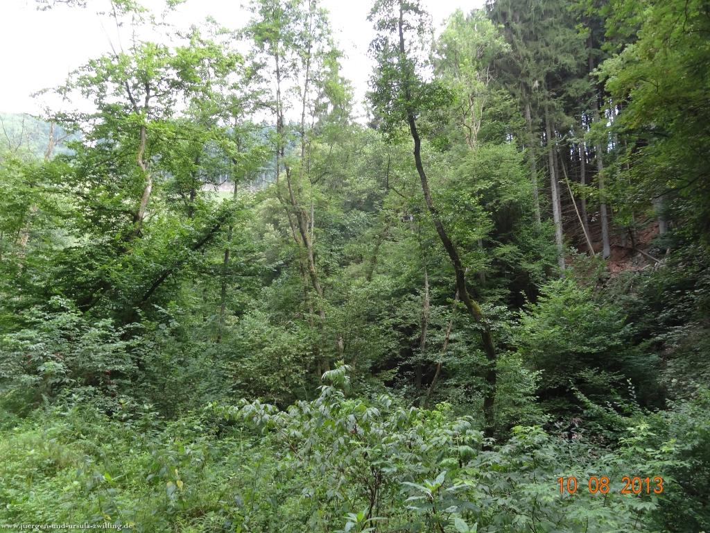 Philosophische Bildwanderung Rund um Höhr-Grenzhausen auf dem HG 1