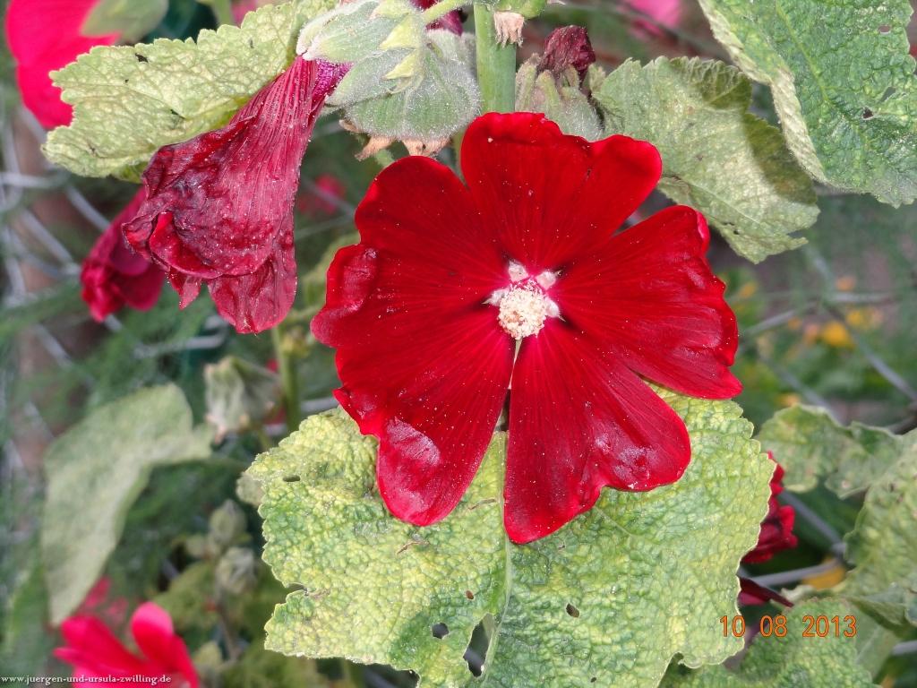 Philosophische Bildwanderung Rund um Höhr-Grenzhausen auf dem HG 1