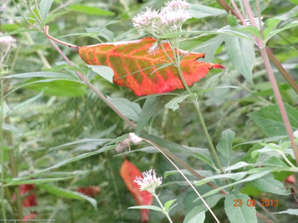 Philosophische Bildwanderung Rengsdorf nach Neuwider Zoo
