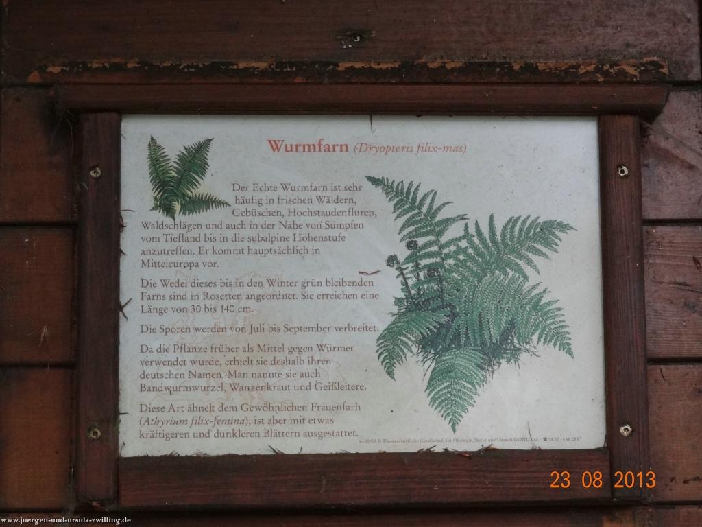 Philosophische Bildwanderung Rengsdorf nach Neuwider Zoo