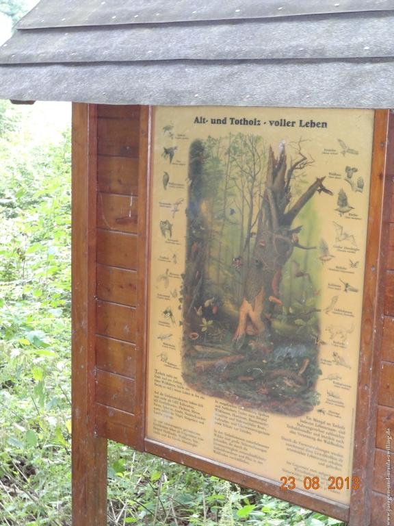 Philosophische Bildwanderung Rengsdorf nach Neuwider Zoo