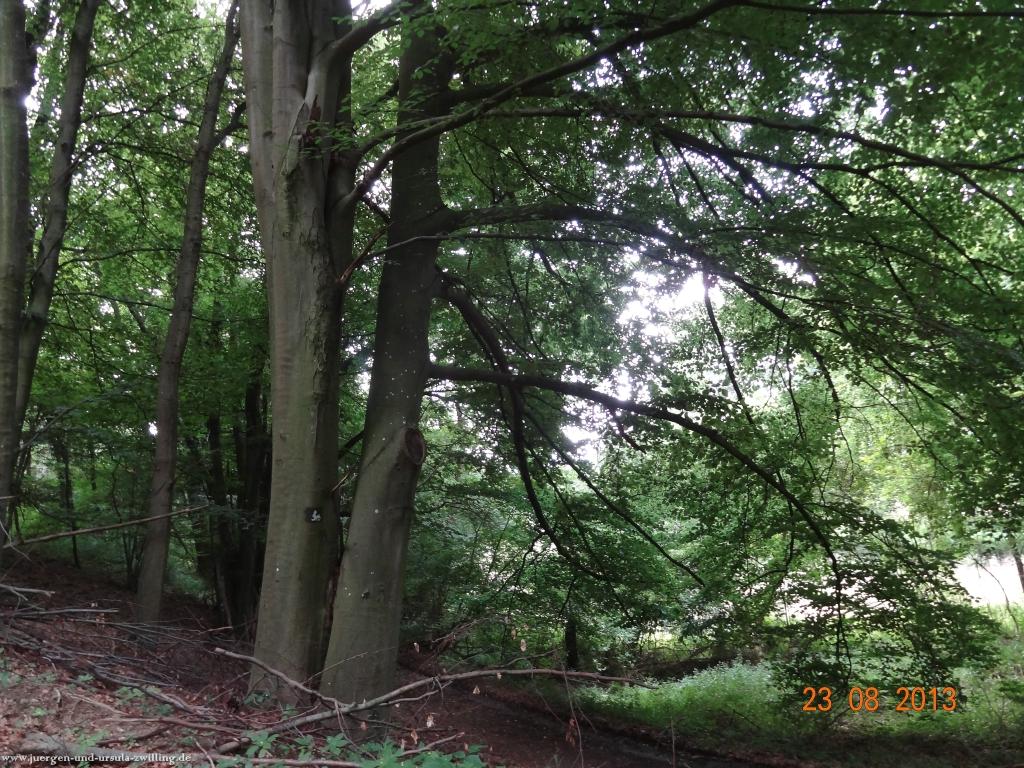 Philosophische Bildwanderung Rengsdorf nach Neuwider Zoo