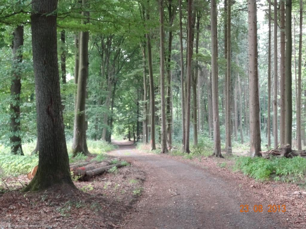Philosophische Bildwanderung Rengsdorf nach Neuwider Zoo
