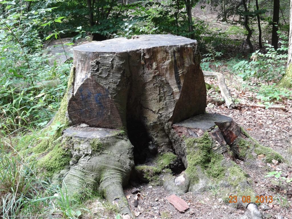 Philosophische Bildwanderung Rengsdorf nach Neuwider Zoo