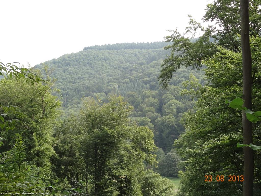 Philosophische Bildwanderung Rengsdorf nach Neuwider Zoo