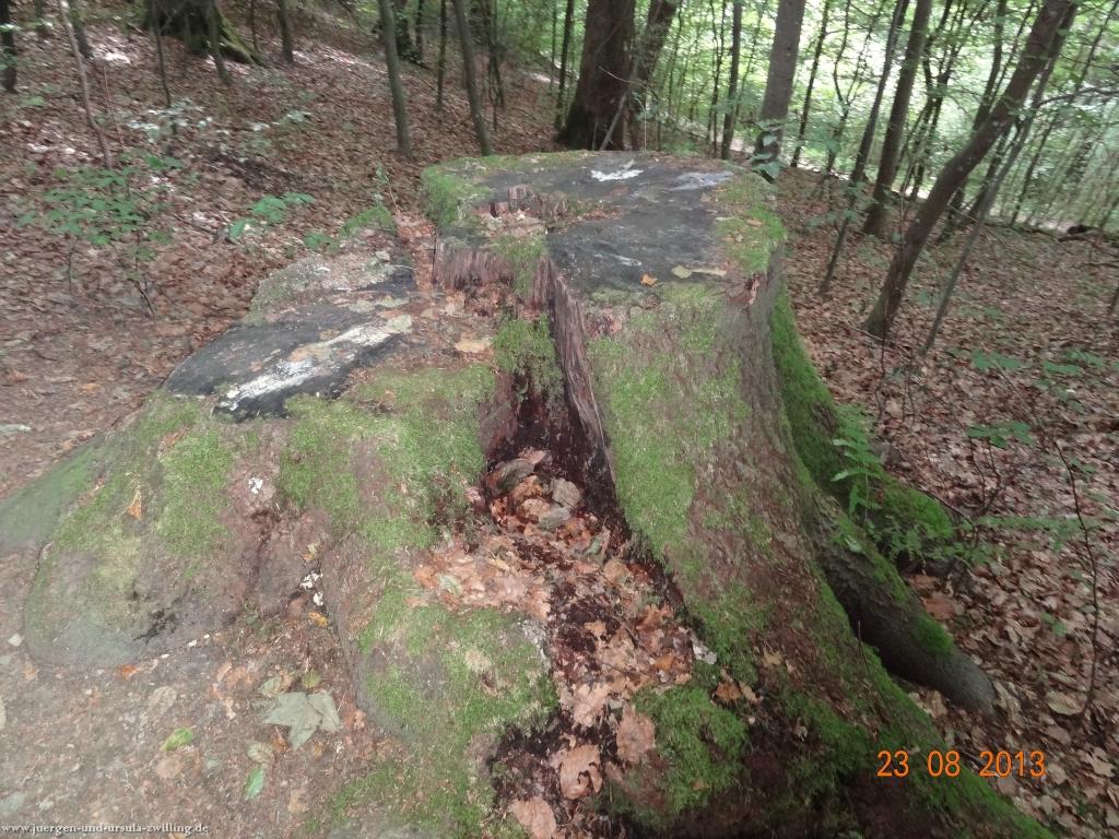 Philosophische Bildwanderung Rengsdorf nach Neuwider Zoo