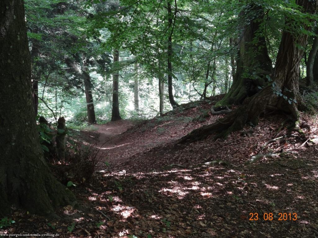 Philosophische Bildwanderung Rengsdorf nach Neuwider Zoo