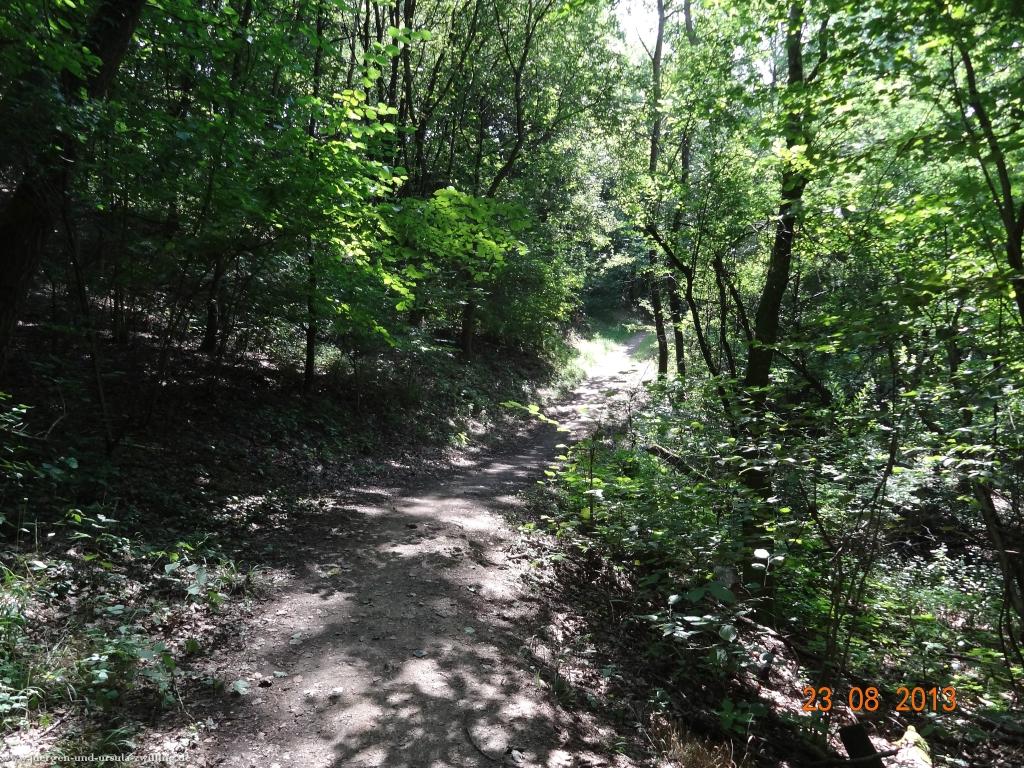 Philosophische Bildwanderung Rengsdorf nach Neuwider Zoo