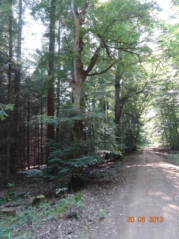 Philosophische Bildwanderung Schläferskopf - Eiserne Hand im Taunus