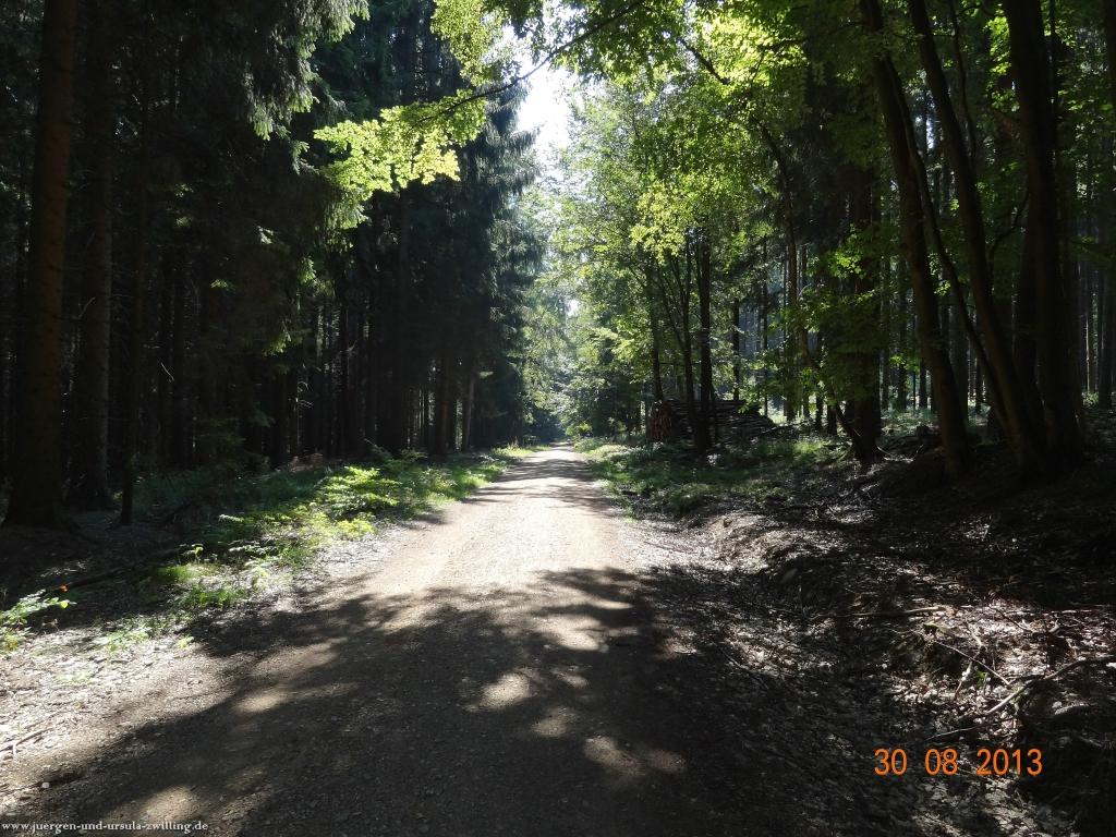 Philosophische Bildwanderung Schläferskopf - Eiserne Hand im Taunus