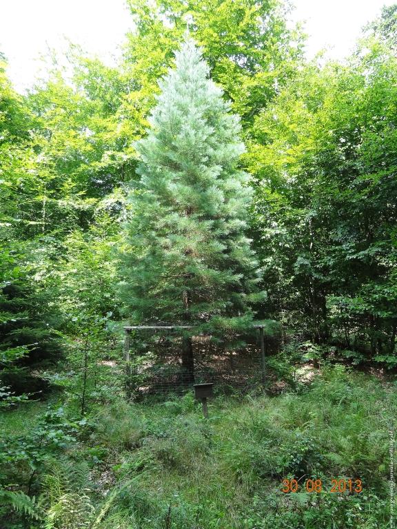 Philosophische Bildwanderung Schläferskopf - Eiserne Hand im Taunus
