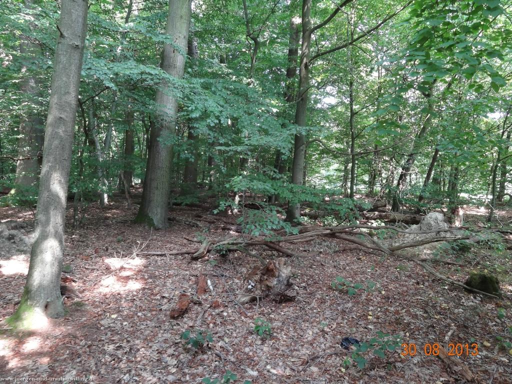 Philosophische Bildwanderung Schläferskopf - Eiserne Hand im Taunus