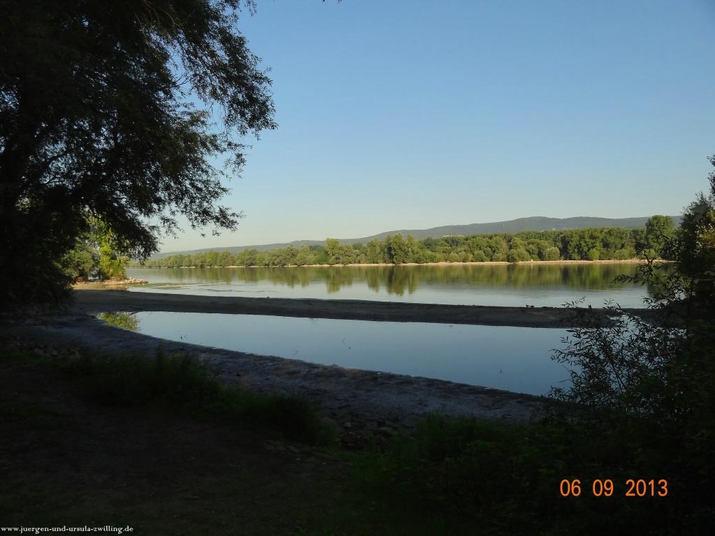 Philosophische Bildwanderung -Heidenfahrt am Rhein - Ingelheim  - Mainz Lerchenberg