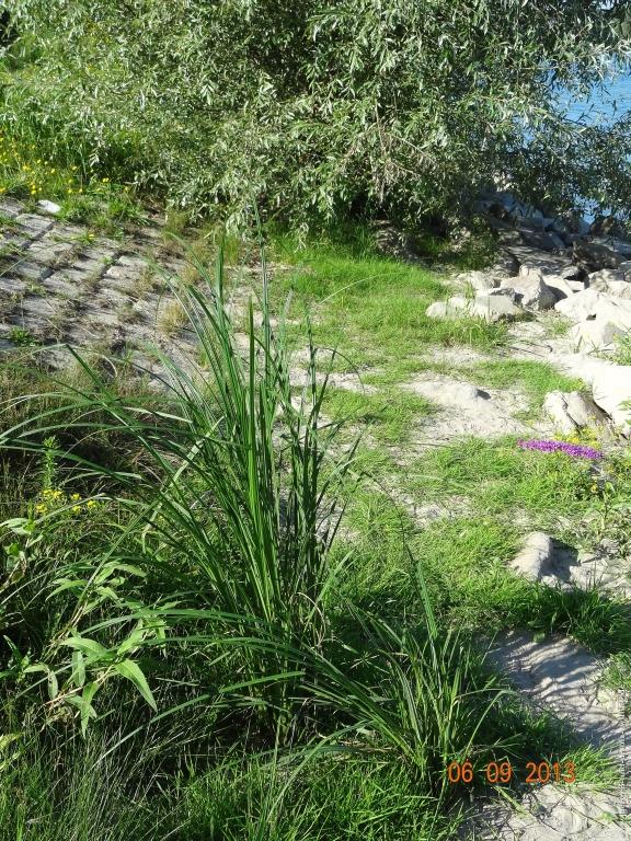 Philosophische Bildwanderung -Heidenfahrt am Rhein - Ingelheim  - Mainz Lerchenberg