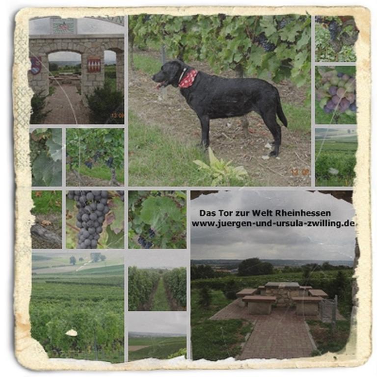 Philosophische Bildwanderung in Rheinhessen -Mainz Lerchenberg - Essenheim - Stadecken Elsheim - Nieder Olm - Ober Olm - Mainz Lerchenberg