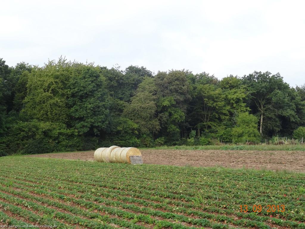 Philosophische Bildwanderung in Rheinhessen -Mainz Lerchenberg - Essenheim - Stadecken Elsheim - Nieder Olm - Ober Olm - Mainz Lerchenberg