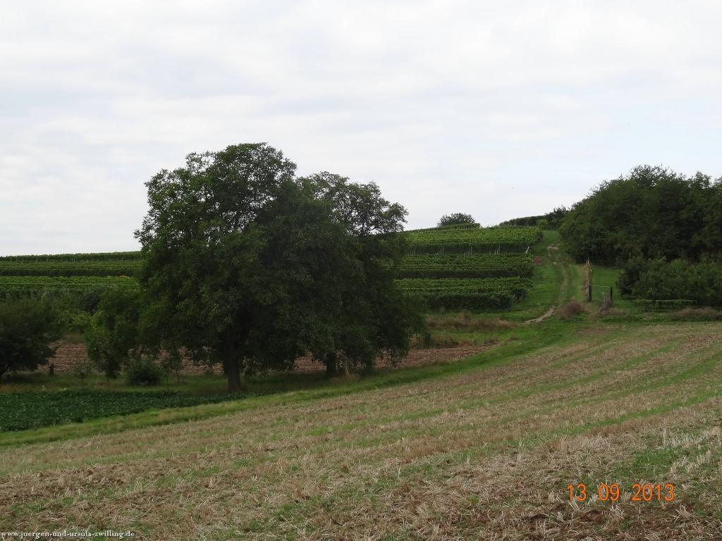 Philosophische Bildwanderung in Rheinhessen -Mainz Lerchenberg - Essenheim - Stadecken Elsheim - Nieder Olm - Ober Olm - Mainz Lerchenberg