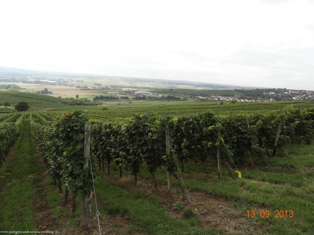Philosophische Bildwanderung in Rheinhessen -Mainz Lerchenberg - Essenheim - Stadecken Elsheim - Nieder Olm - Ober Olm - Mainz Lerchenberg