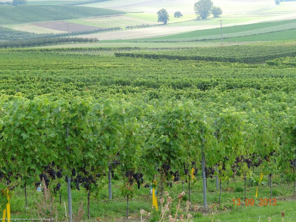 Philosophische Bildwanderung in Rheinhessen -Mainz Lerchenberg - Essenheim - Stadecken Elsheim - Nieder Olm - Ober Olm - Mainz Lerchenberg