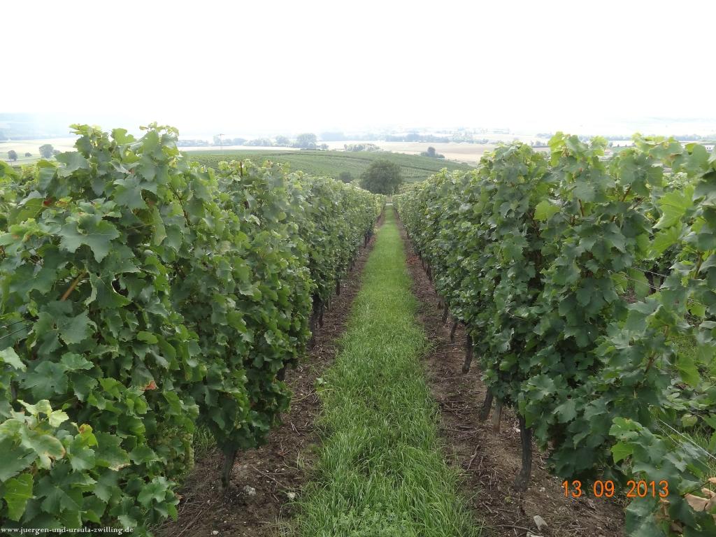 Philosophische Bildwanderung in Rheinhessen -Mainz Lerchenberg - Essenheim - Stadecken Elsheim - Nieder Olm - Ober Olm - Mainz Lerchenberg