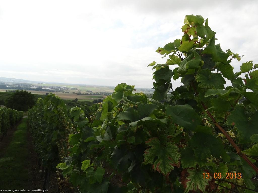 Philosophische Bildwanderung in Rheinhessen -Mainz Lerchenberg - Essenheim - Stadecken Elsheim - Nieder Olm - Ober Olm - Mainz Lerchenberg