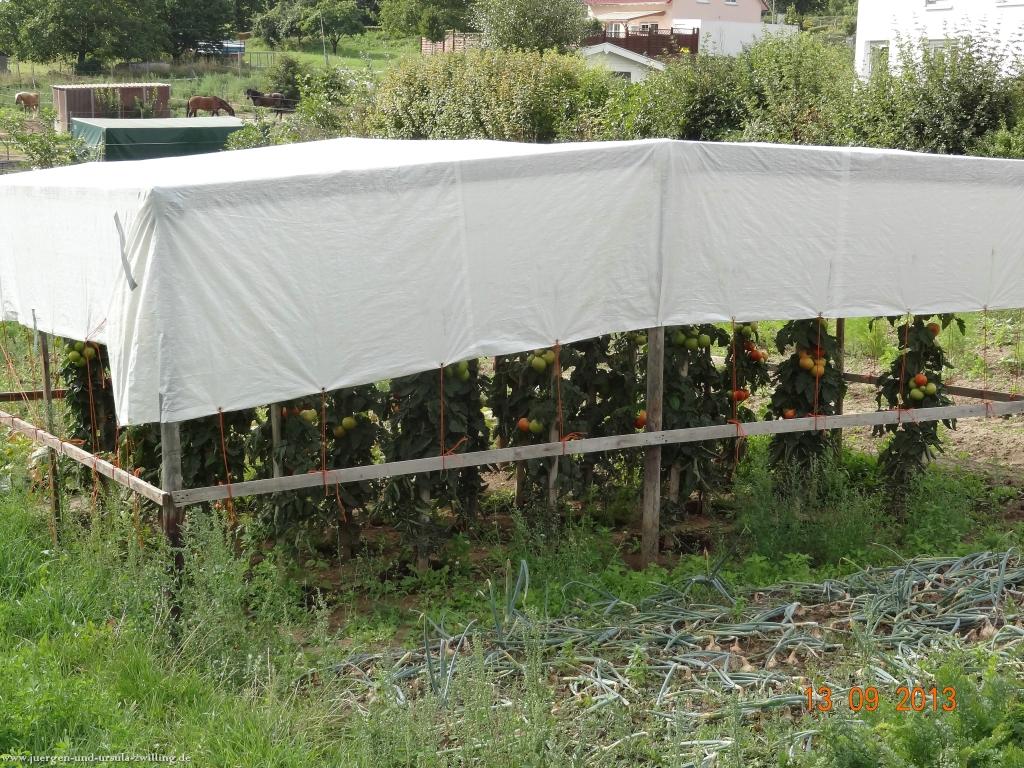 Philosophische Bildwanderung in Rheinhessen -Mainz Lerchenberg - Essenheim - Stadecken Elsheim - Nieder Olm - Ober Olm - Mainz Lerchenberg