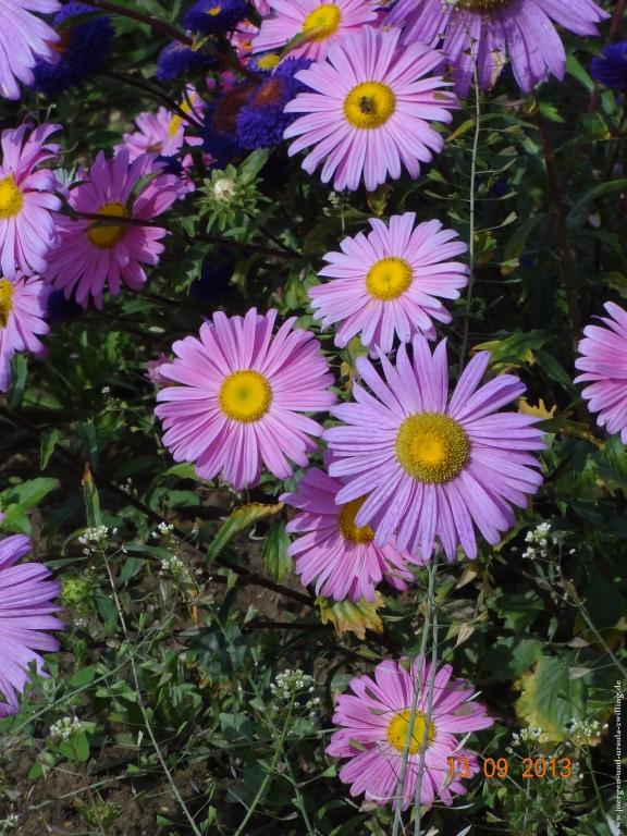 Philosophische Bildwanderung in Rheinhessen -Mainz Lerchenberg - Essenheim - Stadecken Elsheim - Nieder Olm - Ober Olm - Mainz Lerchenberg